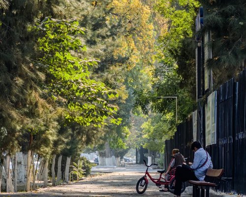 calm walk through a Peruvian city park